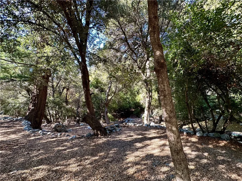 49 Ice House Canyon Road, Mt Baldy, California 91759 home-pic-30